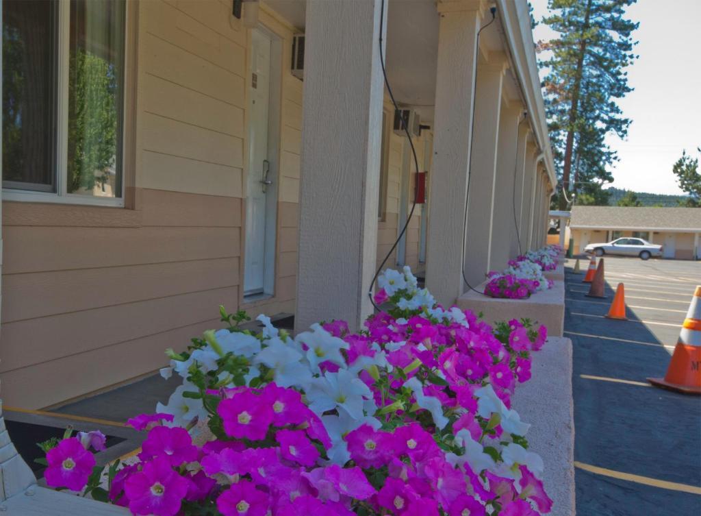 Shasta Pines Motel & Suites Burney Ngoại thất bức ảnh