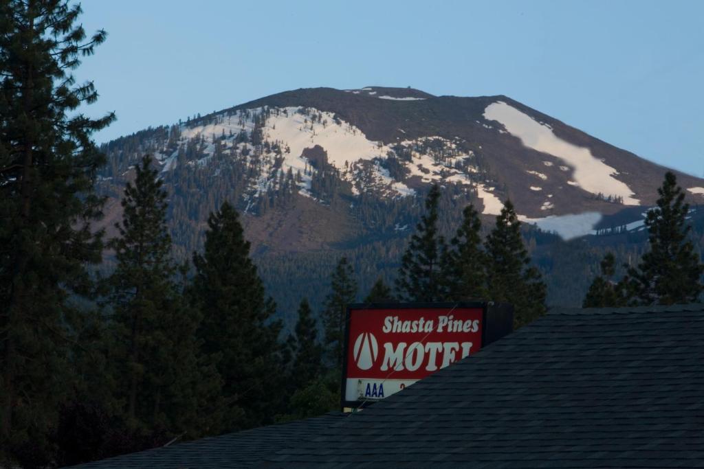 Shasta Pines Motel & Suites Burney Ngoại thất bức ảnh